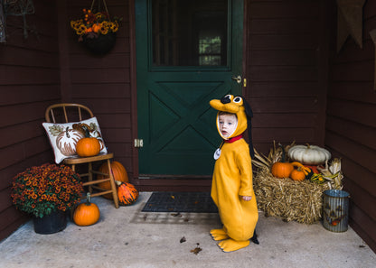 Pluto Inspired Costume, Toddler Costume.